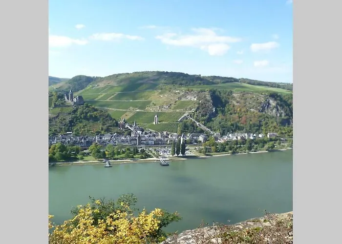 Rheinblick Am Rhein * バッハラッハ