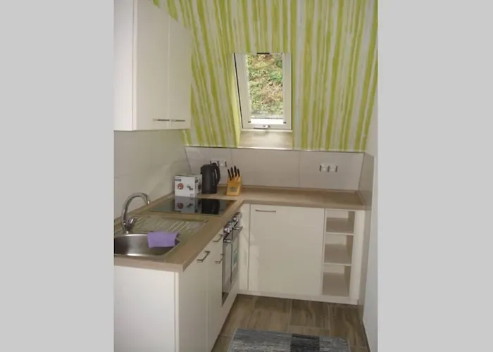 Rheinblick Am Rhein Bacharach